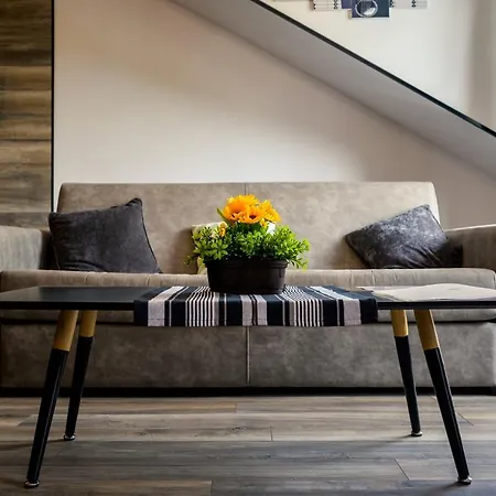 Urban Music Bypmm 普罗夫迪夫